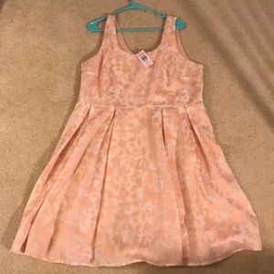 NEW Torrid Blush Pink Skater Dress